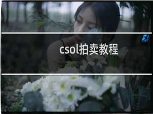 csol拍卖教程