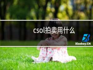csol拍卖用什么