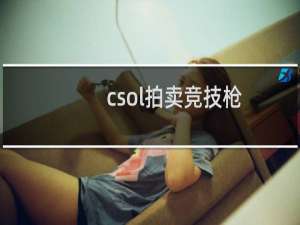 csol拍卖竞技枪