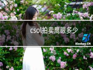 csol拍卖鹰眼多少