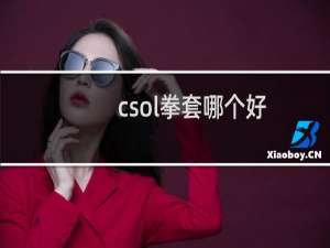csol拳套哪个好