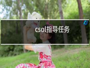 csol指导任务