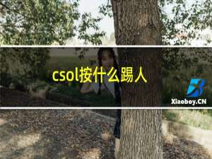 csol按什么踢人