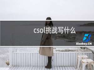 csol挑战写什么