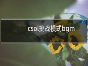csol挑战模式bgm