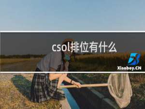 csol排位有什么