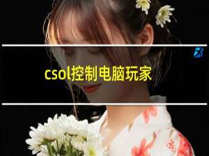 csol控制电脑玩家