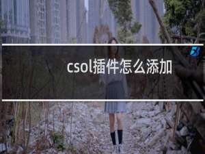 csol插件怎么添加