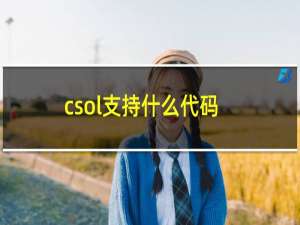 csol支持什么代码
