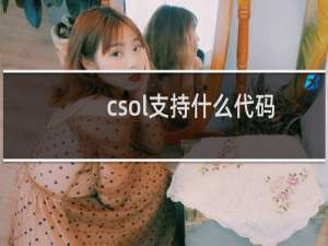 csol支持什么代码