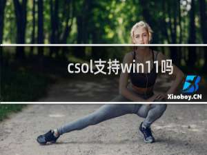 csol支持win11吗