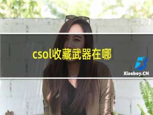 csol收藏武器在哪