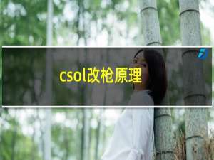 csol改枪原理