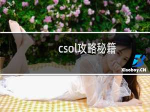 csol攻略秘籍