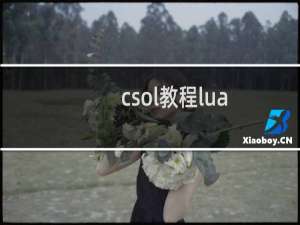 csol教程lua
