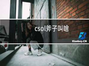 csol斧子叫啥