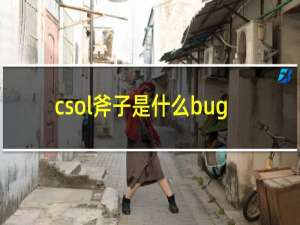 csol斧子是什么bug