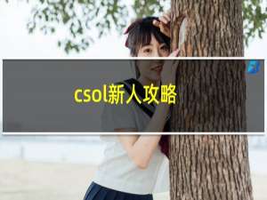 csol新人攻略