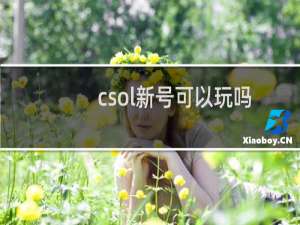 csol新号可以玩吗