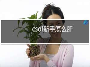 csol新手怎么肝
