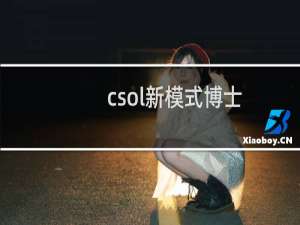 csol新模式博士