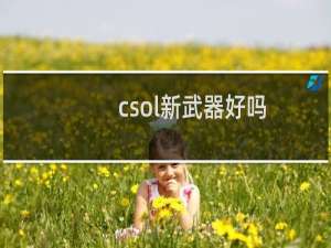 csol新武器好吗