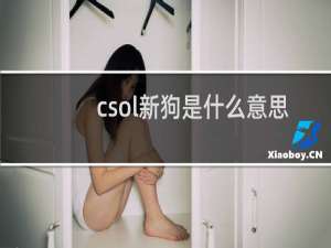 csol新狗是什么意思