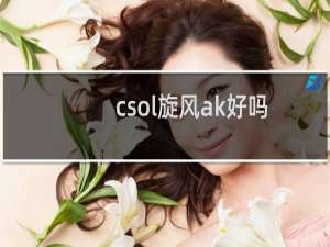 csol旋风ak好吗