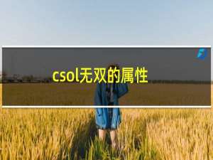 csol无双的属性