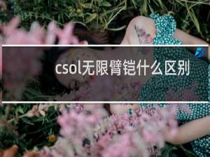 csol无限臂铠什么区别