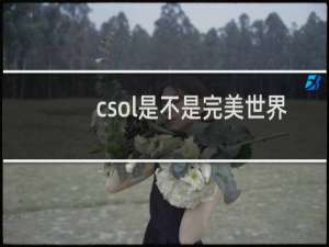 csol是不是完美世界