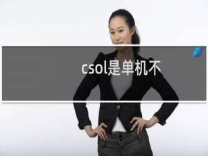 csol是单机不