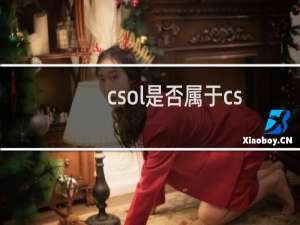 csol是否属于cs