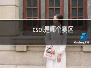 csol是哪个赛区