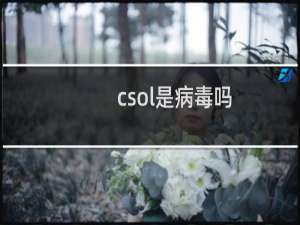 csol是病毒吗