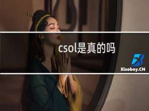 csol是真的吗