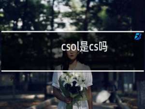 csol是cs吗