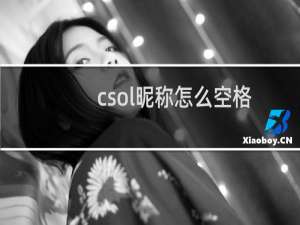 csol昵称怎么空格