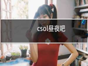 csol昼夜吧