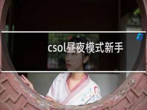 csol昼夜模式新手
