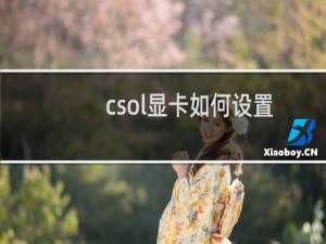 csol显卡如何设置