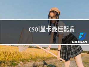csol显卡最佳配置