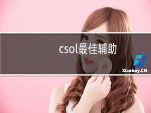 csol最佳辅助