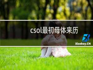 csol最初母体来历