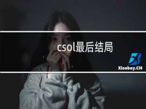 csol最后结局
