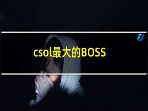 csol最大的BOSS