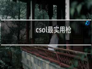 csol最实用枪