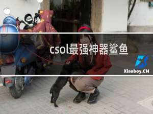 csol最强神器鲨鱼