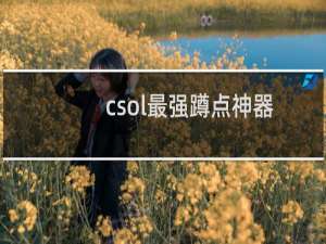 csol最强蹲点神器
