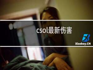 csol最新伤害